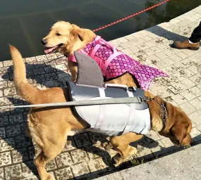 Shark & Mermaid Dog Life Jacket